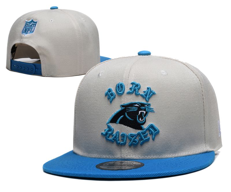2025 NFL Carolina Panthers Hat YS2025411